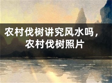 农村伐树讲究风水吗,农村伐树照片