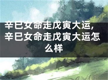 辛巳女命走戊寅大运,辛巳女命走戊寅大运怎么样