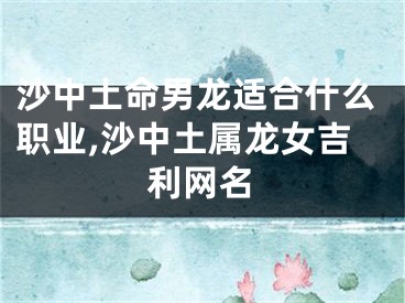 沙中土命男龙适合什么职业,沙中土属龙女吉利网名