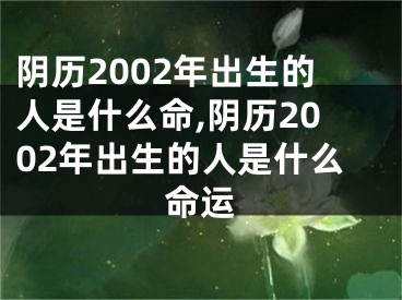 阴历2002年出生的人是什么命,阴历2002年出生的人是什么命运