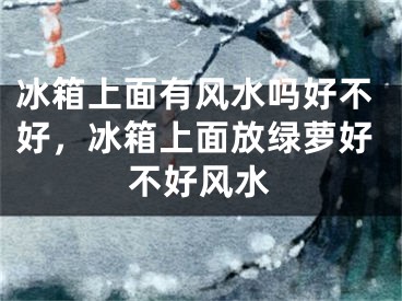 冰箱上面有风水吗好不好，冰箱上面放绿萝好不好风水