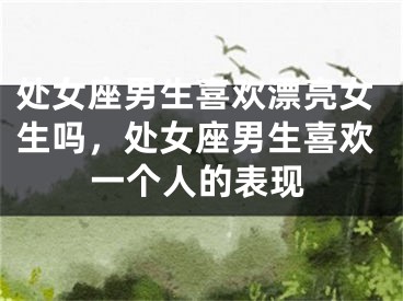 处女座男生喜欢漂亮女生吗,处女座男生喜欢一个人的表现