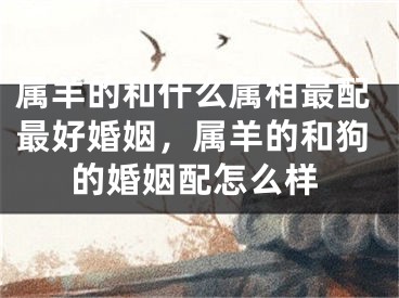 属羊的和什么属相最配最好婚姻，属羊的和狗的婚姻配怎么样