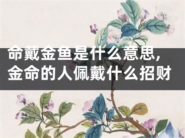 命戴金鱼是什么意思,金命的人佩戴什么招财