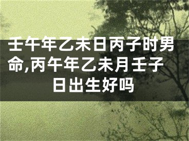 壬午年乙未日丙子时男命,丙午年乙未月壬子日出生好吗