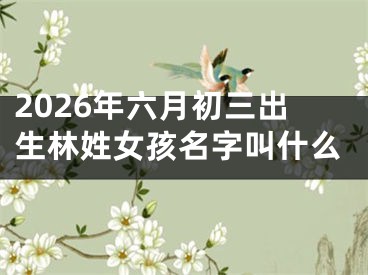 2026年六月初三出生林姓女孩名字叫什么