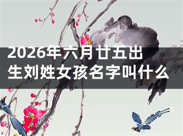 2026年六月廿五出生刘姓女孩名字叫什么