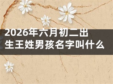 2026年六月初二出生王姓男孩名字叫什么