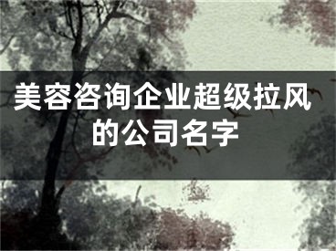 美容咨询企业超级拉风的公司名字