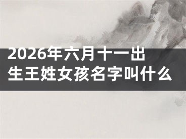 2026年六月十一出生王姓女孩名字叫什么
