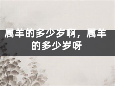 属羊的多少岁啊,属羊的多少岁呀