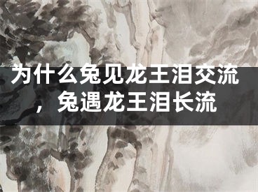 为什么兔见龙王泪交流，兔遇龙王泪长流