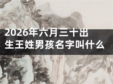 2026年六月三十出生王姓男孩名字叫什么