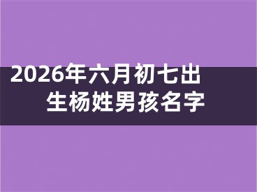 2026年六月初七出生杨姓男孩名字