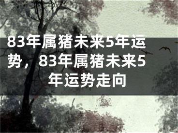 83年属猪未来5年运势，83年属猪未来5年运势走向
