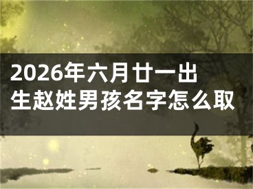 2026年六月廿一出生赵姓男孩名字怎么取