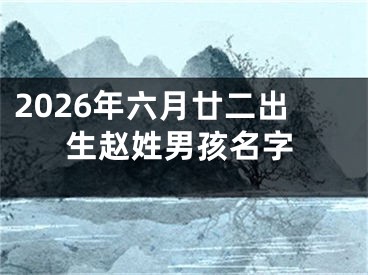 2026年六月廿二出生赵姓男孩名字