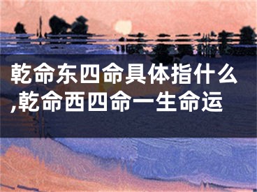 乾命东四命具体指什么,乾命西四命一生命运