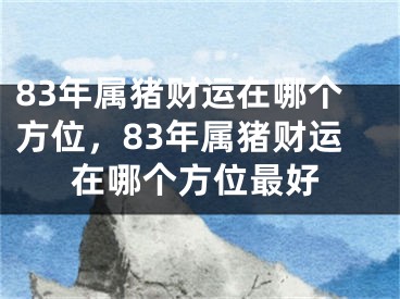 83年属猪财运在哪个方位，83年属猪财运在哪个方位最好