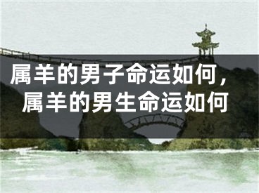 属羊的男子命运如何，属羊的男生命运如何