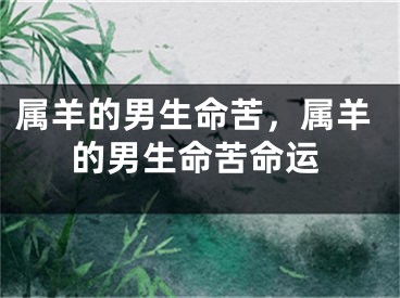 属羊的男生命苦，属羊的男生命苦命运