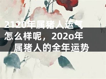 2120年属猪人运气怎么样呢，202o年属猪人的全年运势