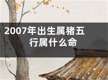 2007年出生属猪五行属什么命