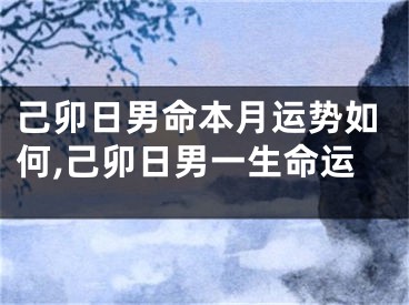 己卯日男命本月运势如何,己卯日男一生命运