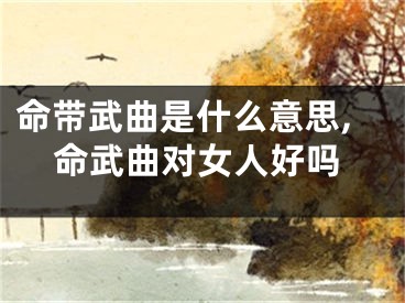 命带武曲是什么意思,命武曲对女人好吗