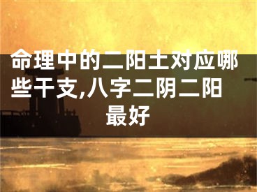 命理中的二阳土对应哪些干支,八字二阴二阳最好
