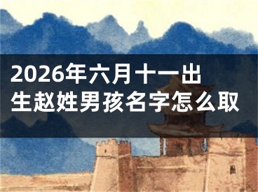2026年六月十一出生赵姓男孩名字怎么取