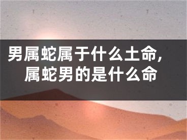 男属蛇属于什么土命,属蛇男的是什么命