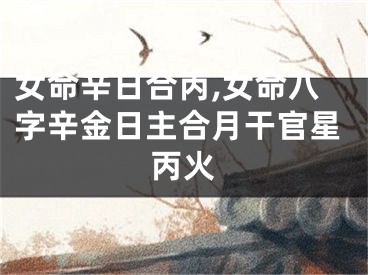 女命辛日合丙,女命八字辛金日主合月干官星丙火