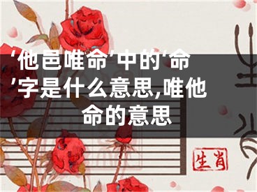 ‘他邑唯命’中的‘命’字是什么意思,唯他命的意思