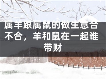 属羊跟属鼠的做生意合不合，羊和鼠在一起谁带财