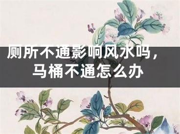 厕所不通影响风水吗，马桶不通怎么办