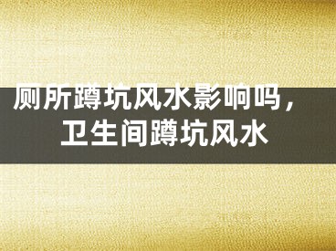 厕所蹲坑风水影响吗，卫生间蹲坑风水