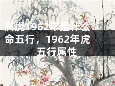 属虎1962年是什么命五行，1962年虎五行属性
