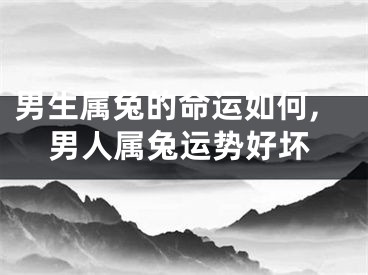 男生属兔的命运如何,男人属兔运势好坏