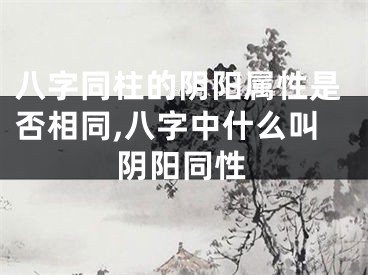 八字同柱的阴阳属性是否相同,八字中什么叫阴阳同性