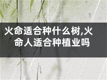 火命适合种什么树,火命人适合种植业吗