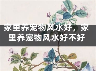 家里养宠物风水好，家里养宠物风水好不好