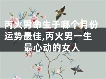 丙火男命生于哪个月份运势最佳,丙火男一生最心动的女人