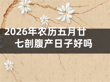 2026年农历五月廿七剖腹产日子好吗