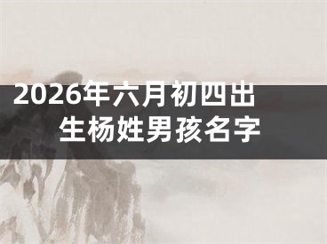 2026年六月初四出生杨姓男孩名字