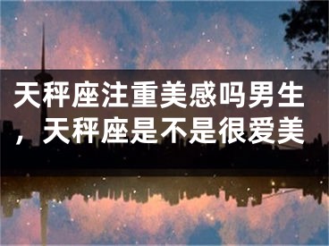 天秤座注重美感吗男生，天秤座是不是很爱美
