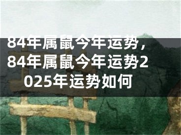 84年属鼠今年运势，84年属鼠今年运势2025年运势如何