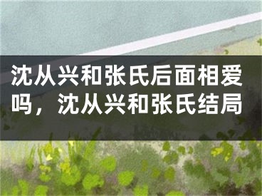 沈从兴和张氏后面相爱吗，沈从兴和张氏结局