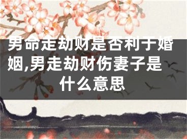 男命走劫财是否利于婚姻,男走劫财伤妻子是什么意思