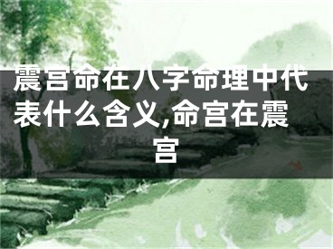 震宫命在八字命理中代表什么含义,命宫在震宫